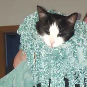 Meet your Posher, Marissa